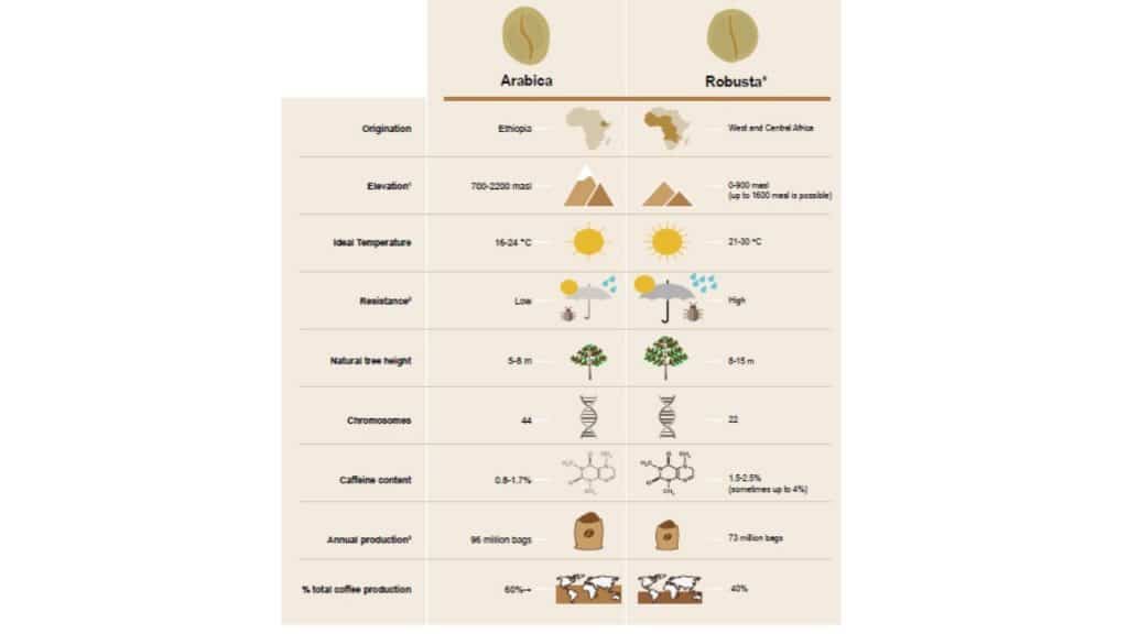 kawa - grafika do artykułu