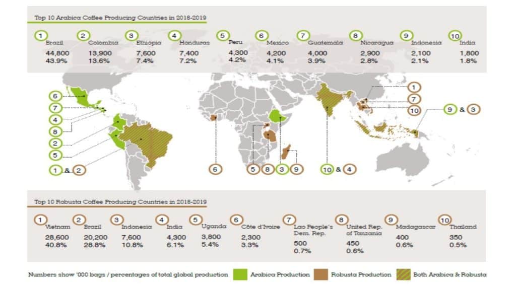 kawa - grafika do artykułu