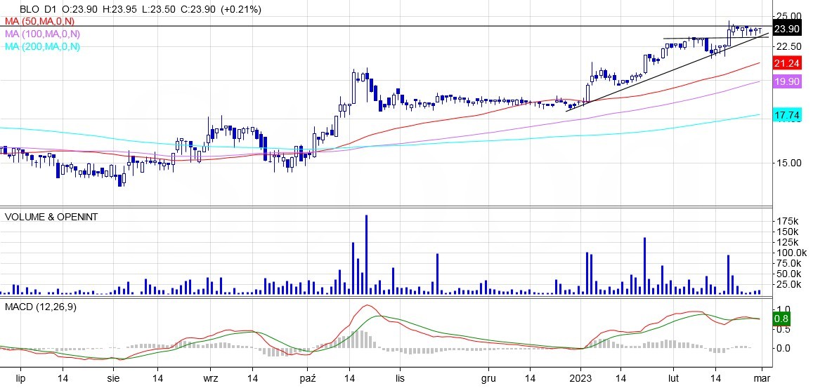 Bloober, analiza techniczna