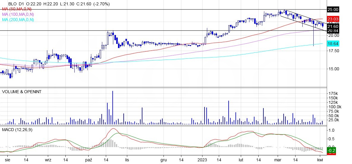 Bloober, analiza technicza