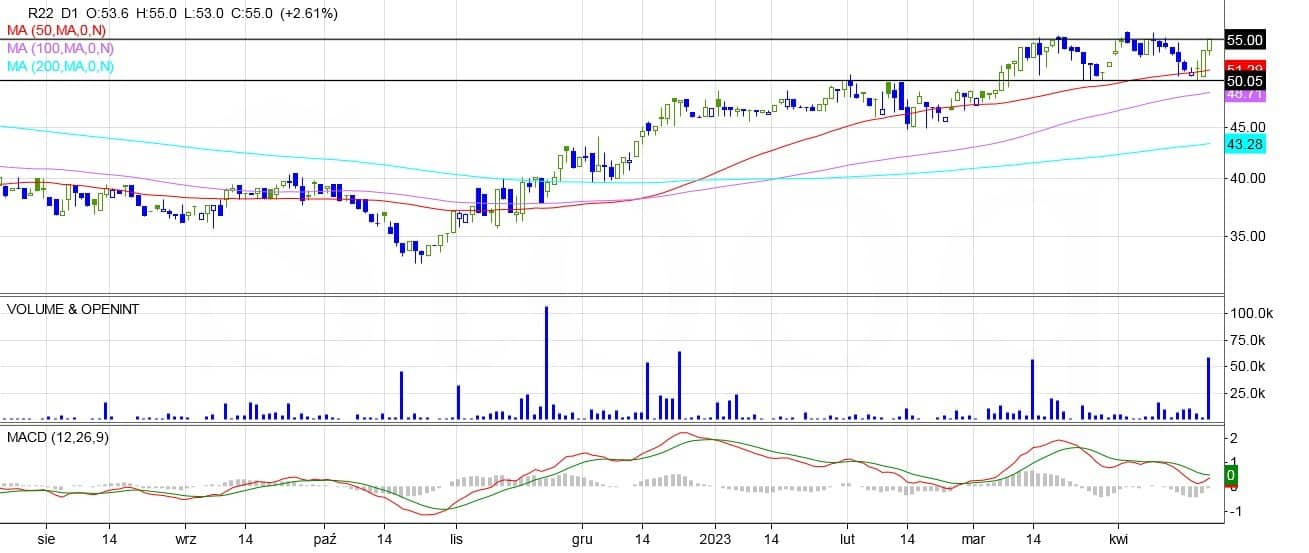 R22, analiza techniczna